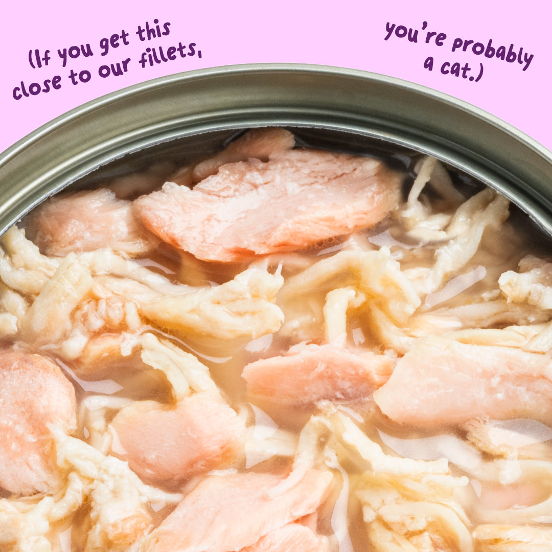 Salmon & Chicken Fillets