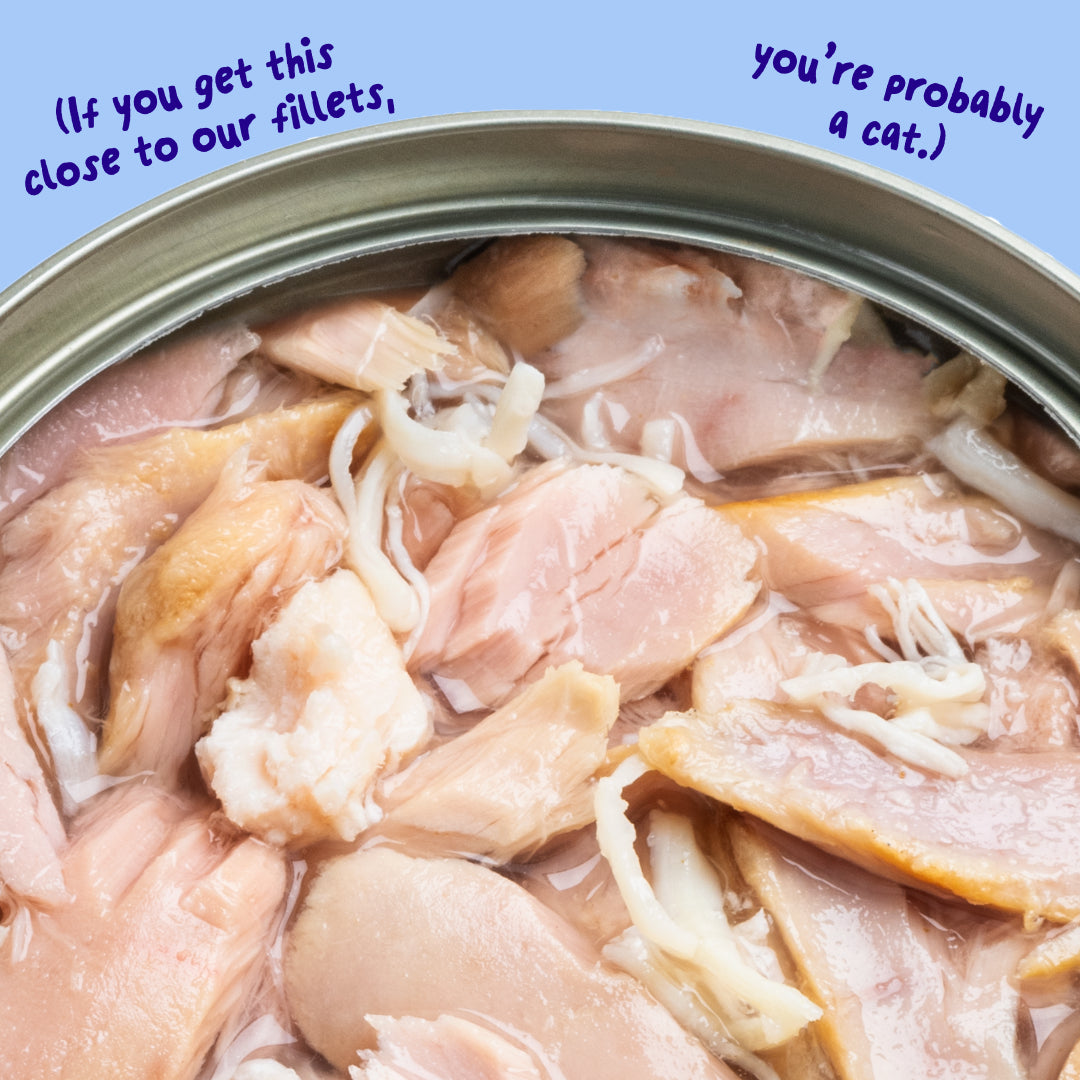 Tuna Fillets with Chicken