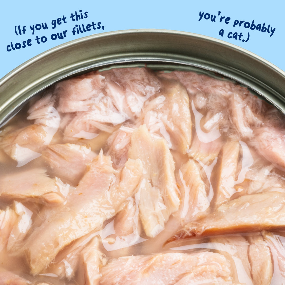Tuna Fillets
