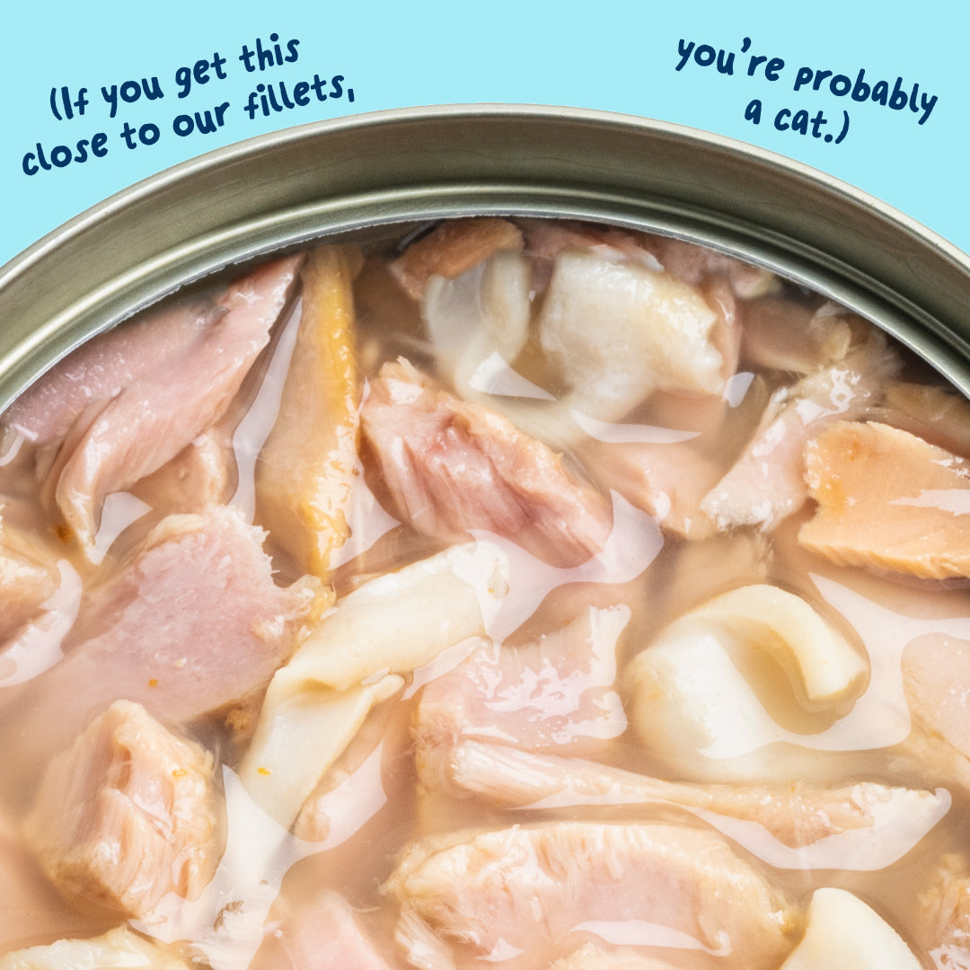 Tuna Fillets with Squid
