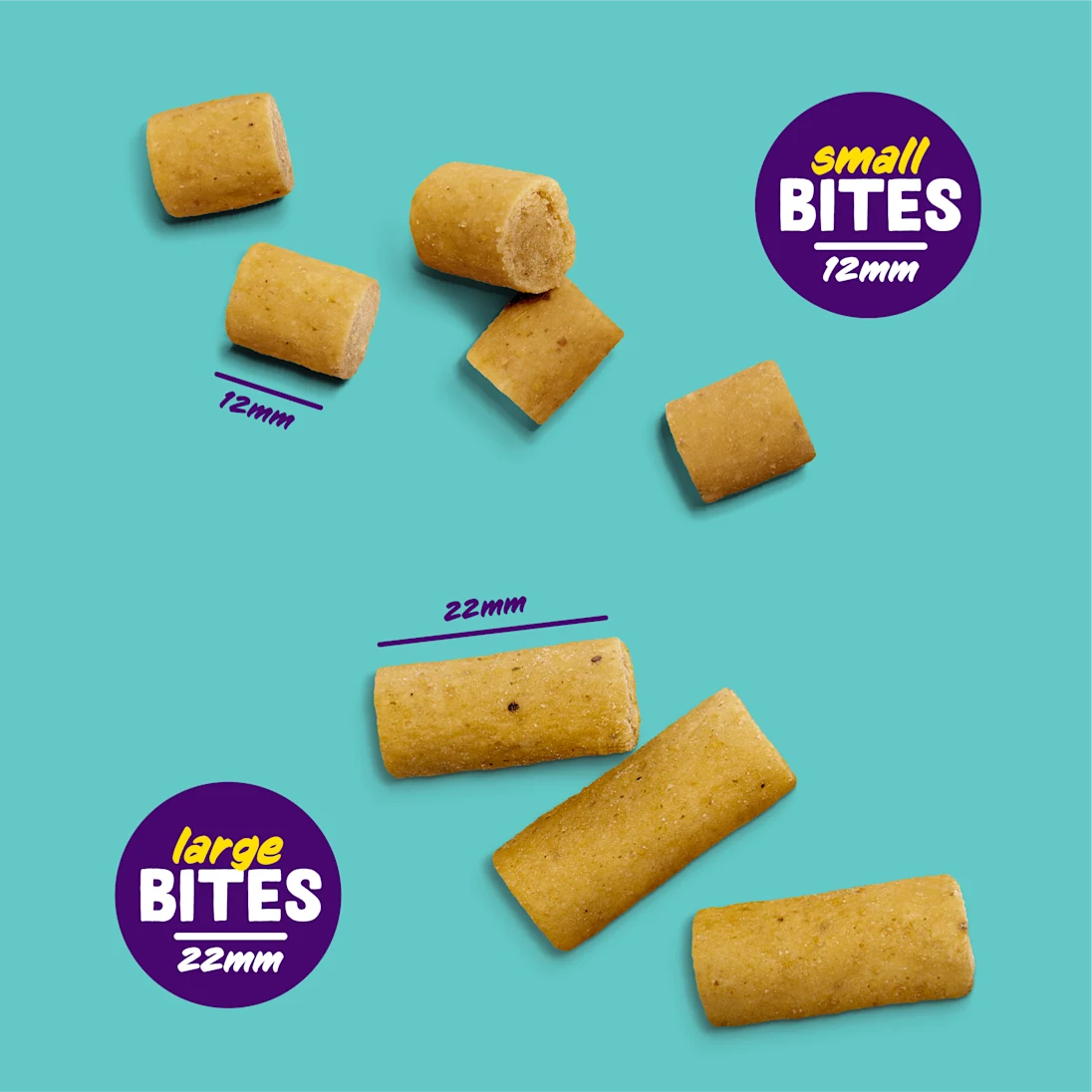 Bites - Salmon and Chicken
