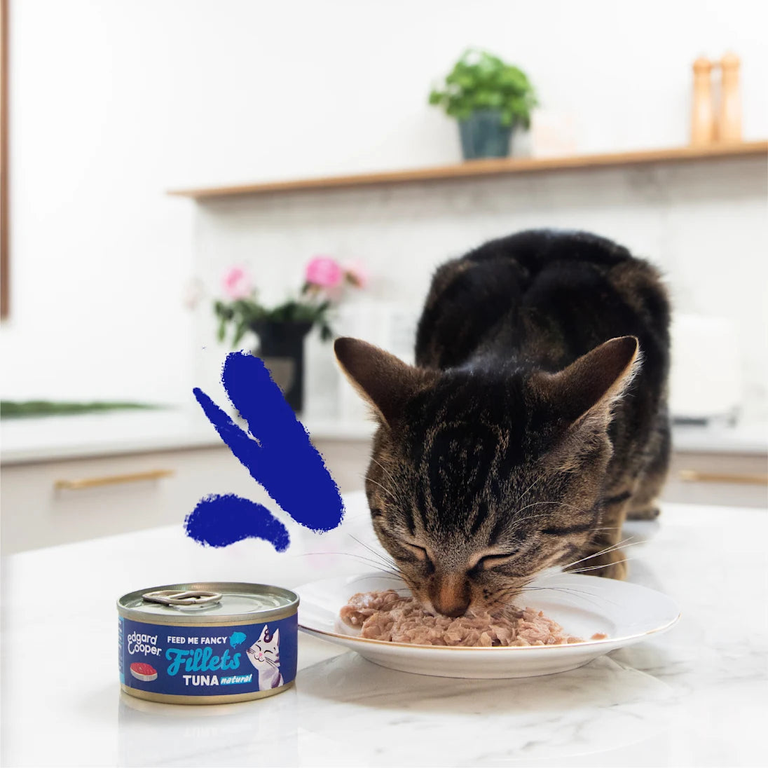 Tuna Fillets