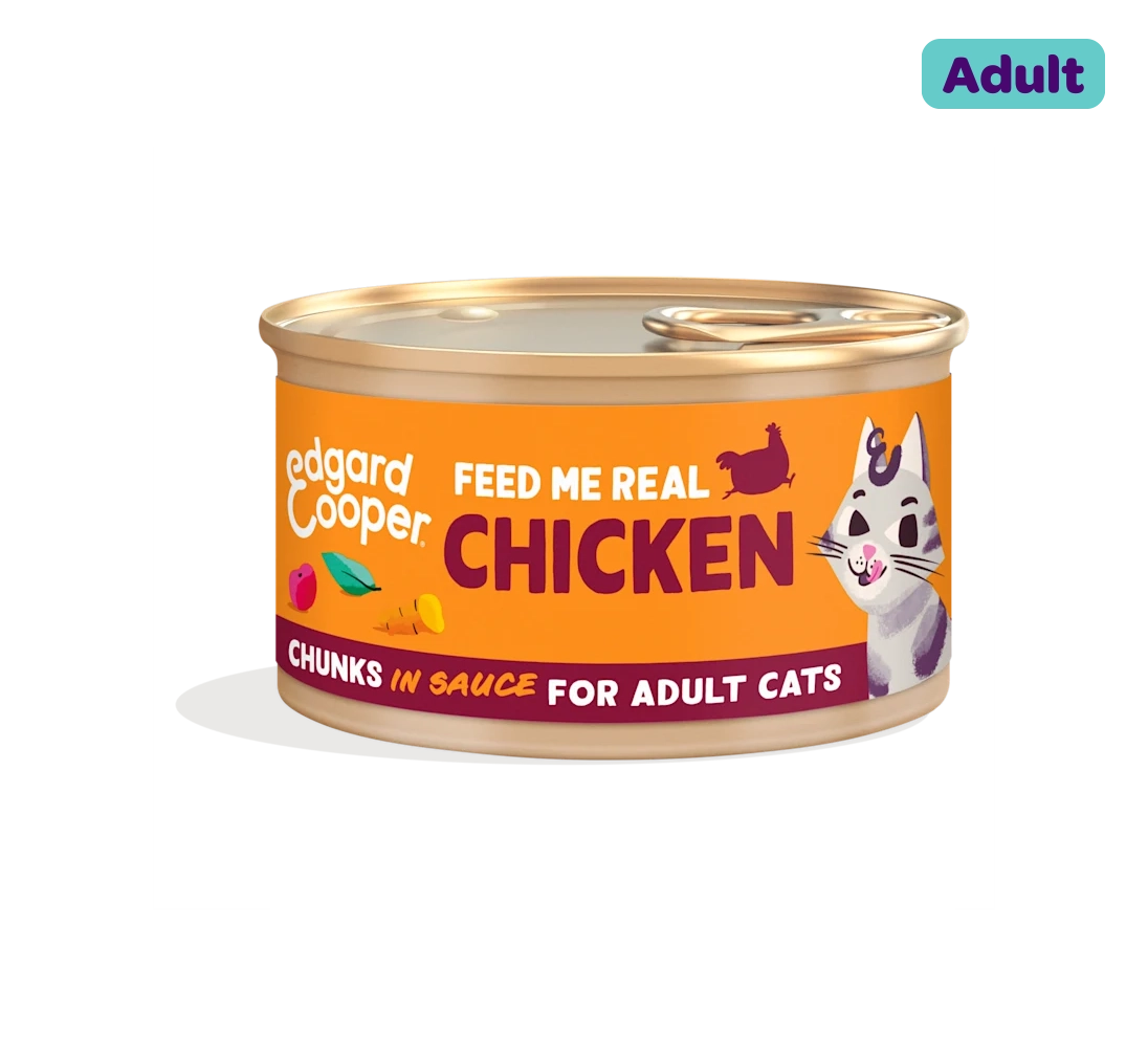 Chicken - Chunks in Sauce