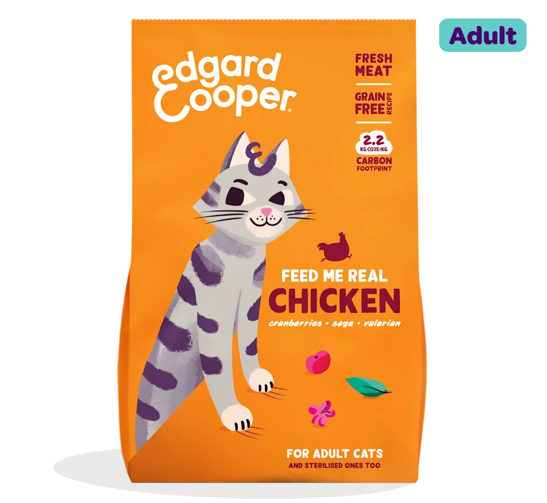 Fresh chicken
