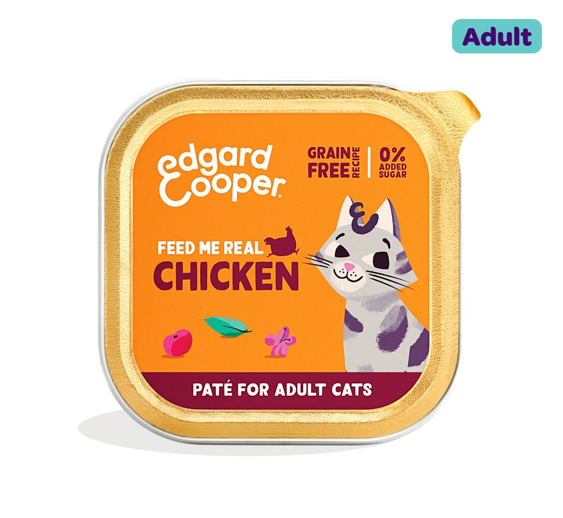Chicken - Paté