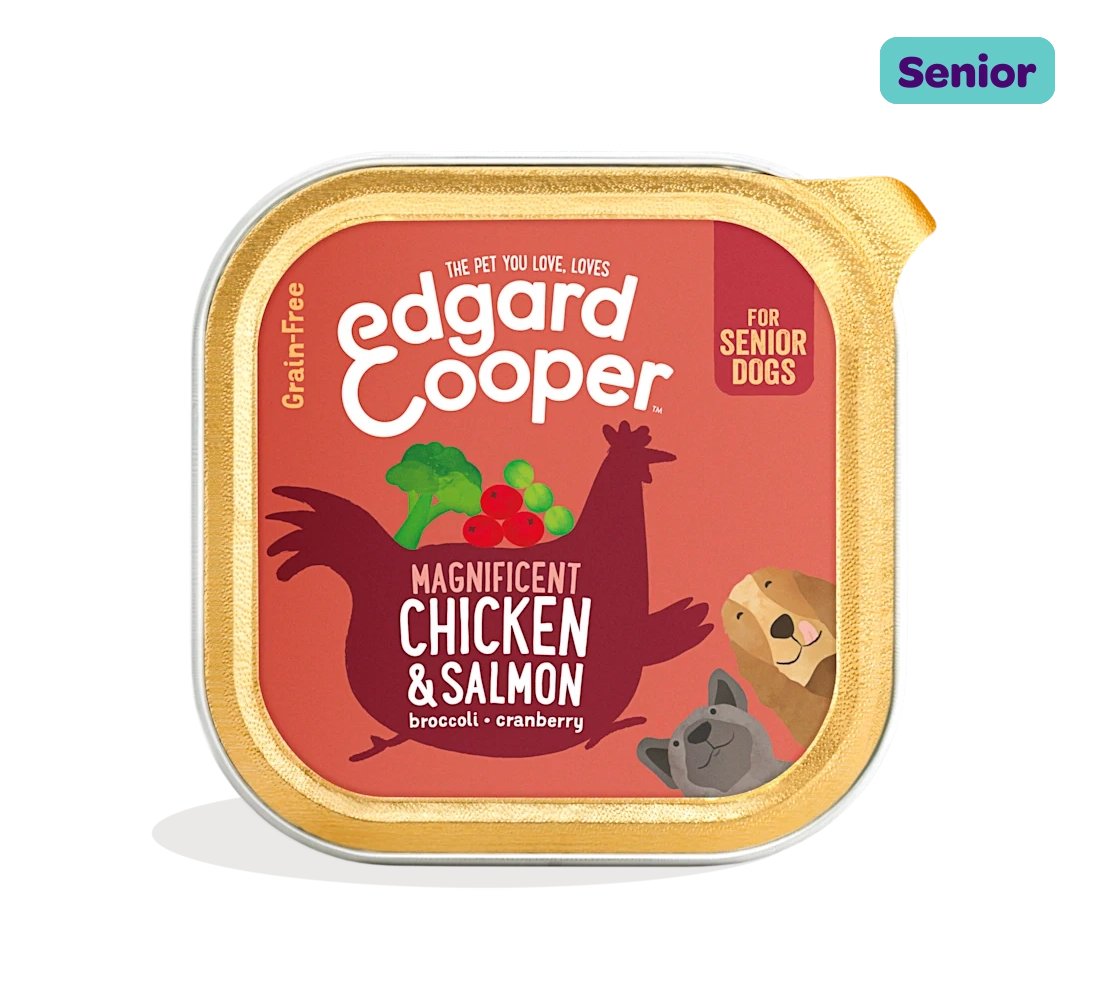 Chicken & Salmon