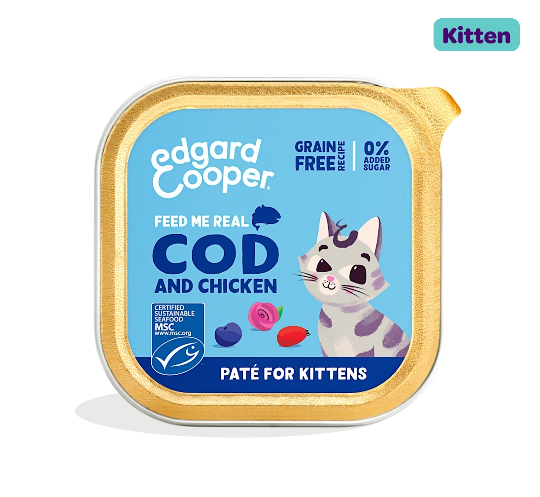 Codfish and Chicken - Paté