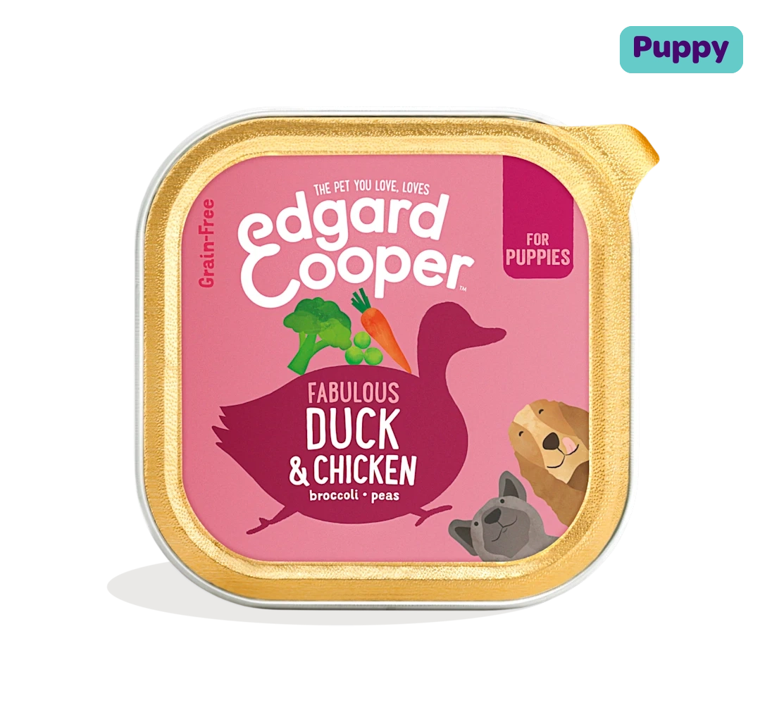 Duck & Chicken