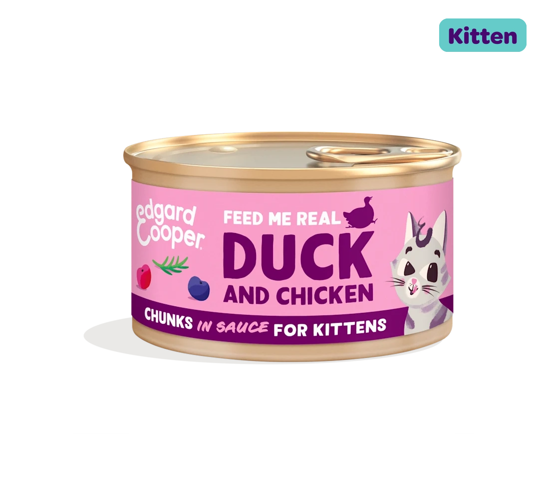 Duck and Chicken - Chunks in Sauce