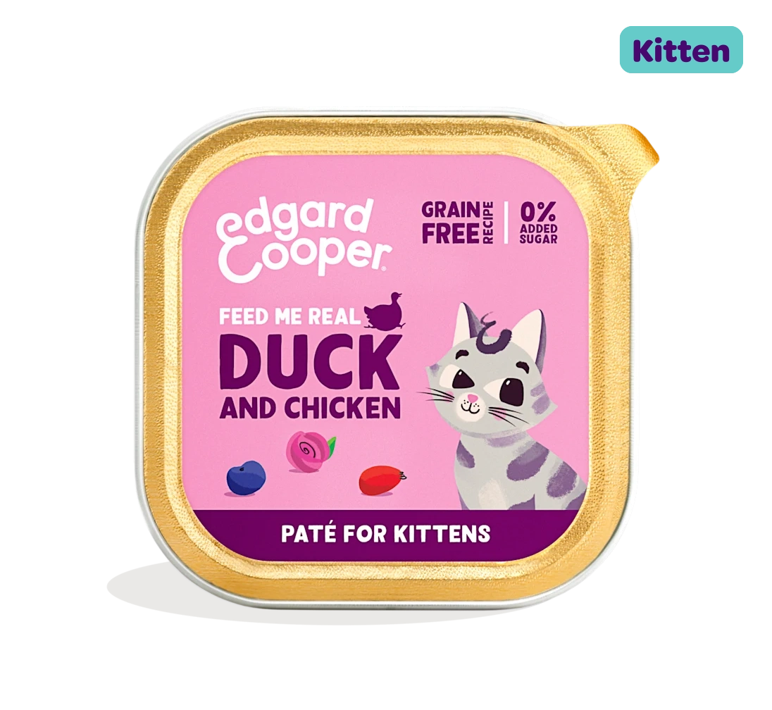 Duck and Chicken - Paté