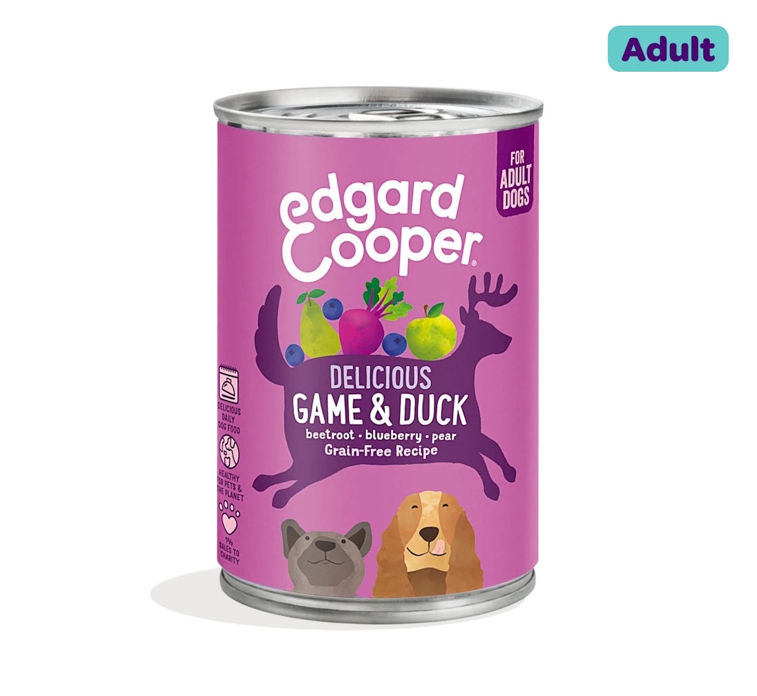 Game & Duck