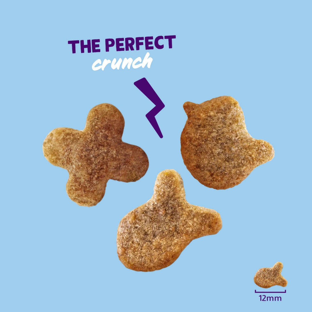 Crunchies - Salmon