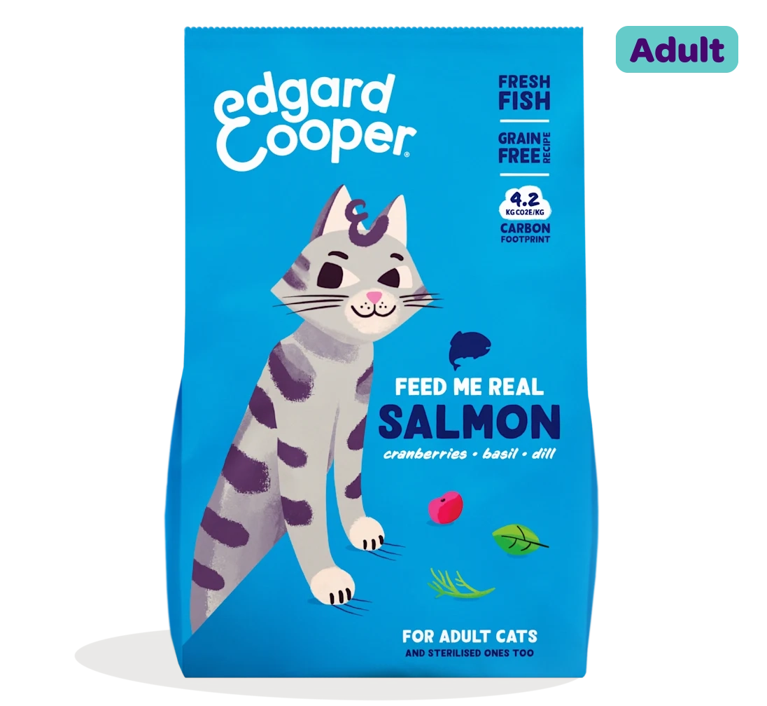 Fresh salmon