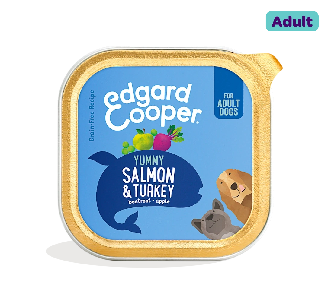 Salmon & Turkey