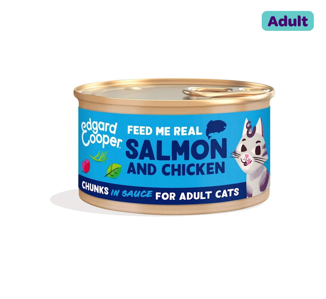 Salmon and Chicken - Chunks in Sauce