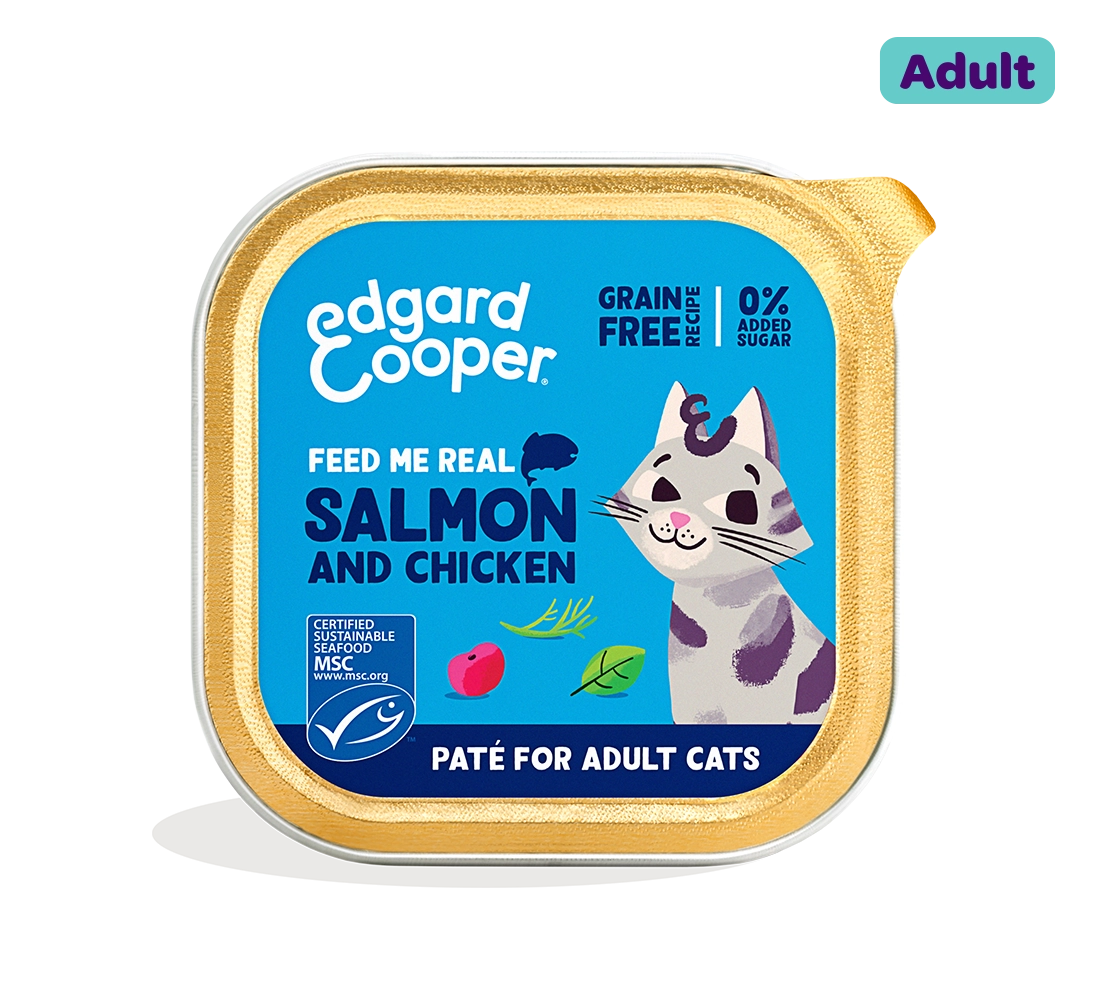 Salmon and Chicken - Paté